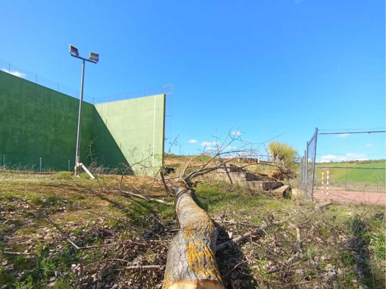 Poda y Saneamiento del Arbolado