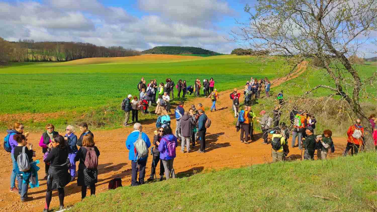 Senderismo de Robledillo a Malaguilla