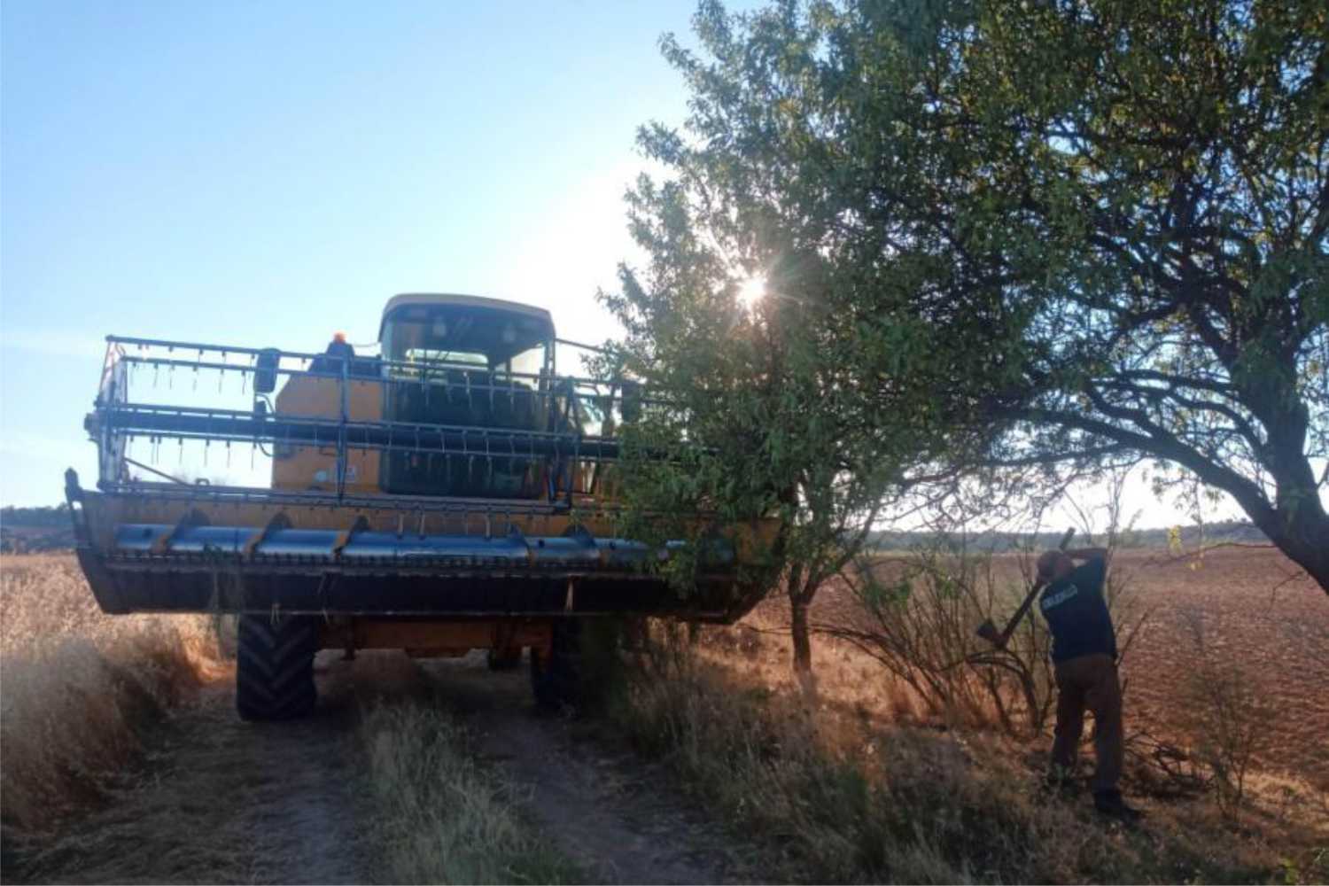 Adquisición de Desbrozadora