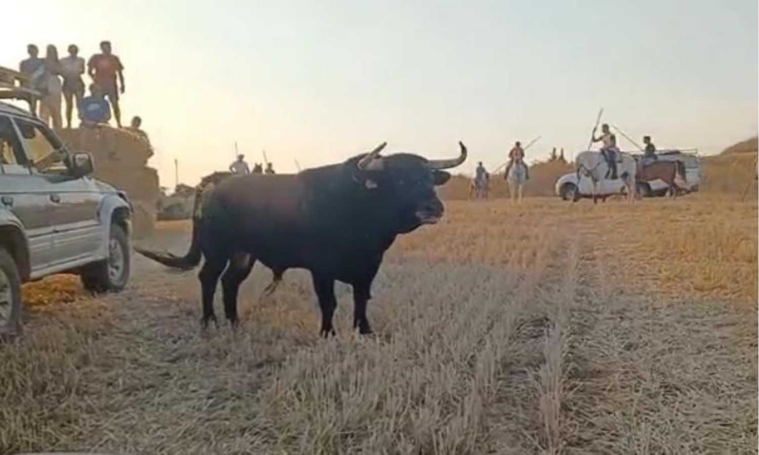 Ayuntamiento de Robledillo de Mohernando